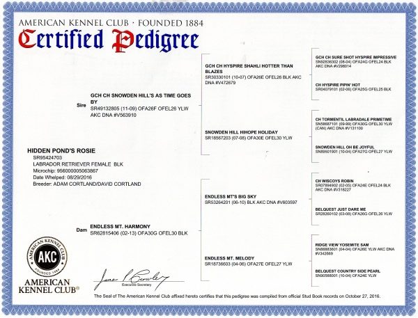 AKC Certified Pedigree Certificate