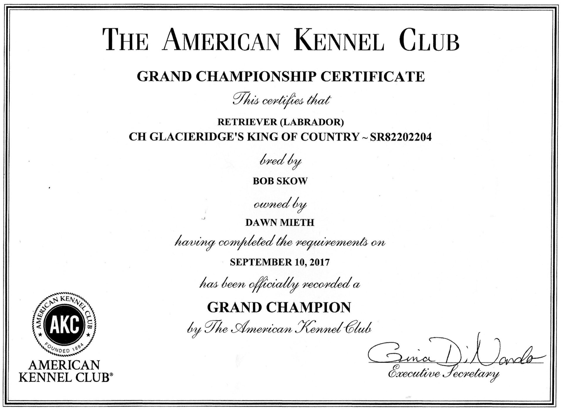 AKC Grand Championship Certificate