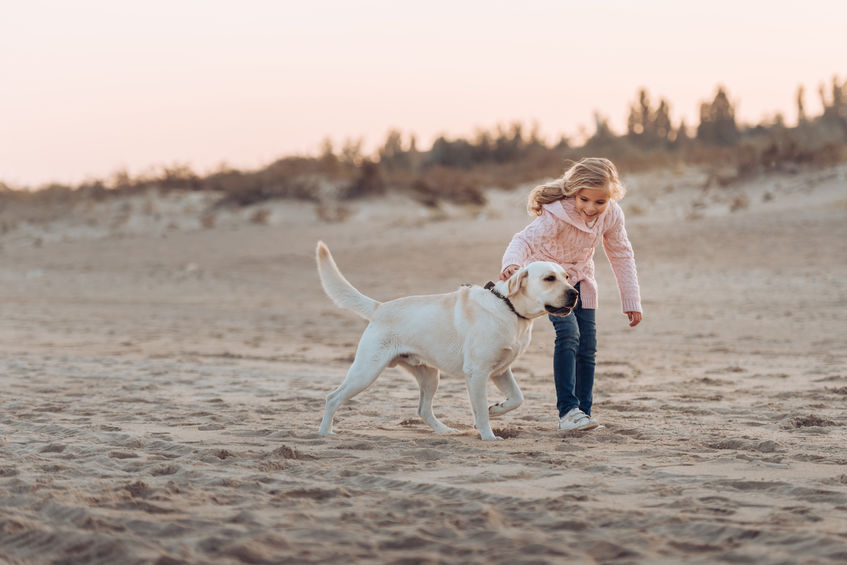 Child running with dog on the beach