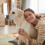 Labrador Retriever in home with owner